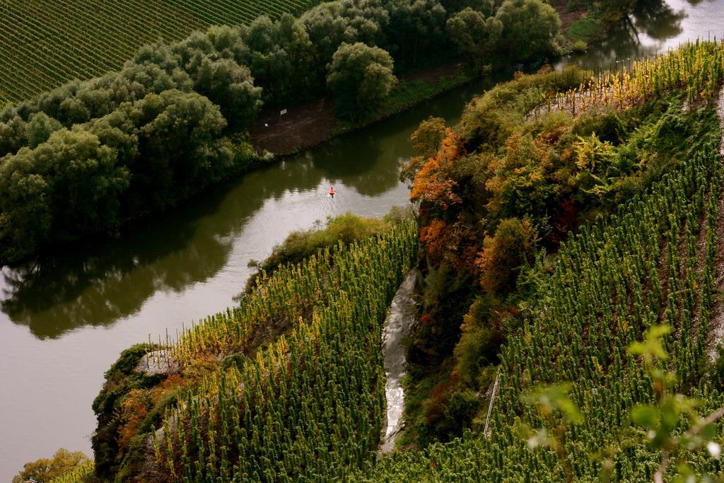 克罗夫 Bio-Weingut Staffelter Hof旅馆 外观 照片